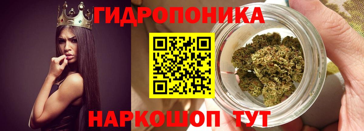 Марихуана SATIVA & INDICA Серов